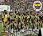 Fenerbahçe, şampiyon Süper Lig 2013-2014, Türkiye Futbol Ligi